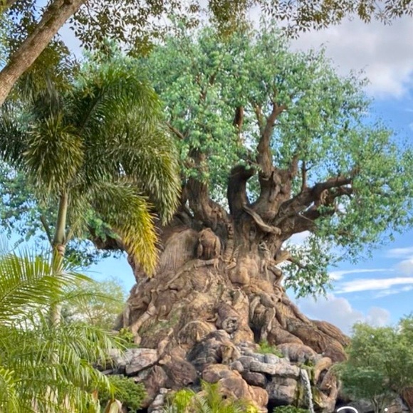 ⭐️Live Disney Sales⭐️ ❤️Like to be notified when we go live❤️ - Picture 6 of 9